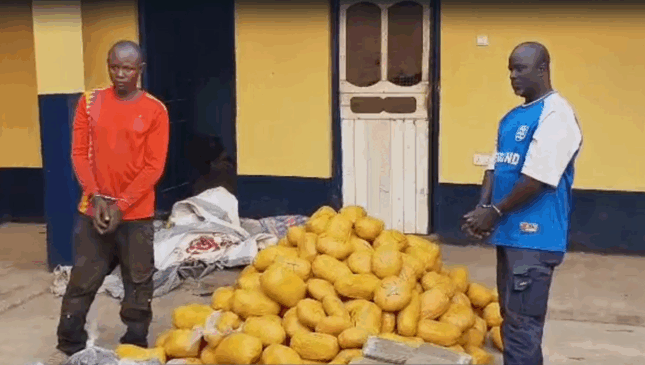 Police Intercept Bus with 396 Suspected Cannabis Parcels in Yeji, Arrest Two