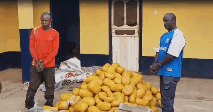 Police Intercept Bus with 396 Suspected Cannabis Parcels in Yeji, Arrest Two